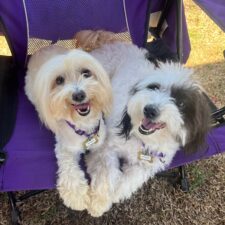 Winnie & Bonnie