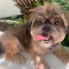 Abby