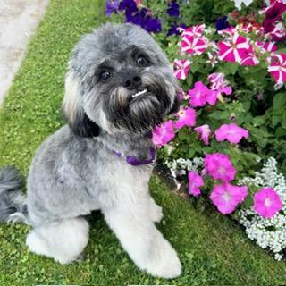 CharliGirl