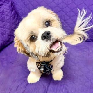 Finneas